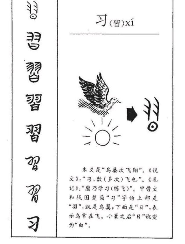 习怎么组词