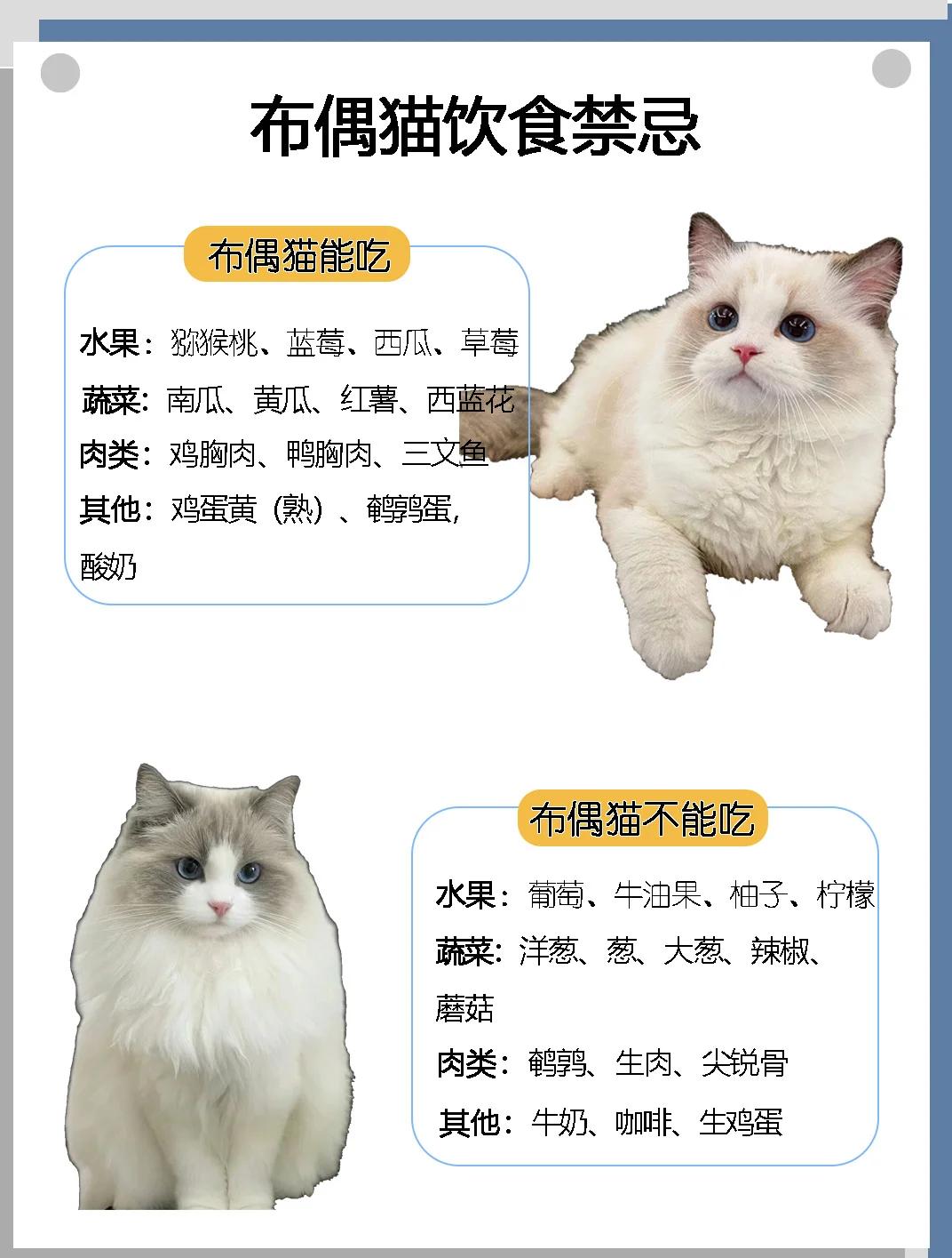 百度贴吧 第46页