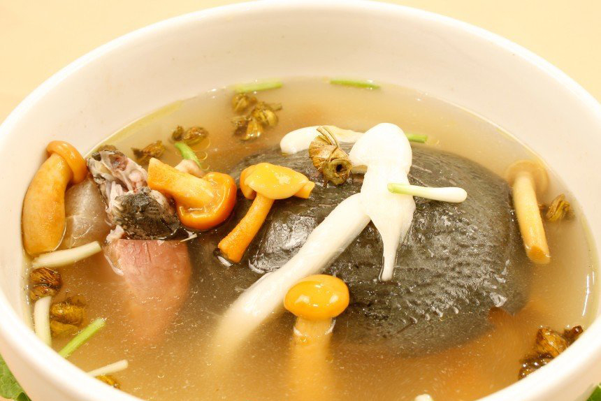 最简单的清炖甲鱼汤