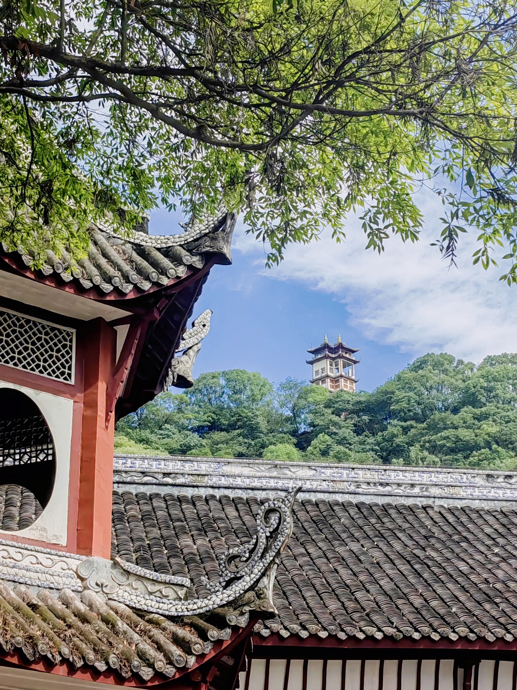 广元最值得去的景点