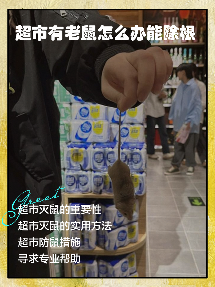 电脑之家下载 第27页