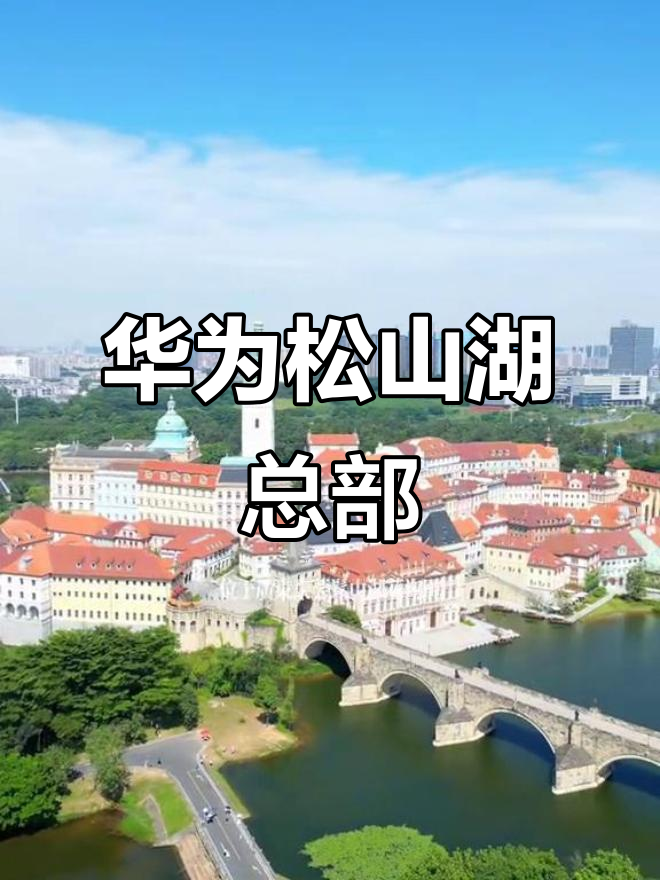 2025年9月20日 第7页