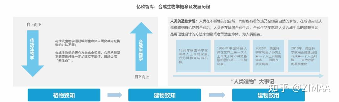 生物技术是干什么的