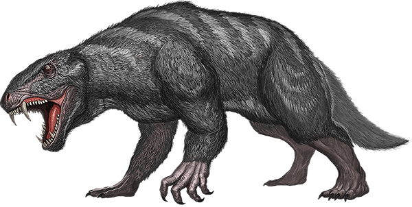 方舟生存进化怎么开上帝模式