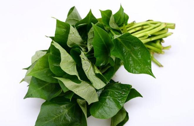 红薯叶哪三类人为什么不能吃