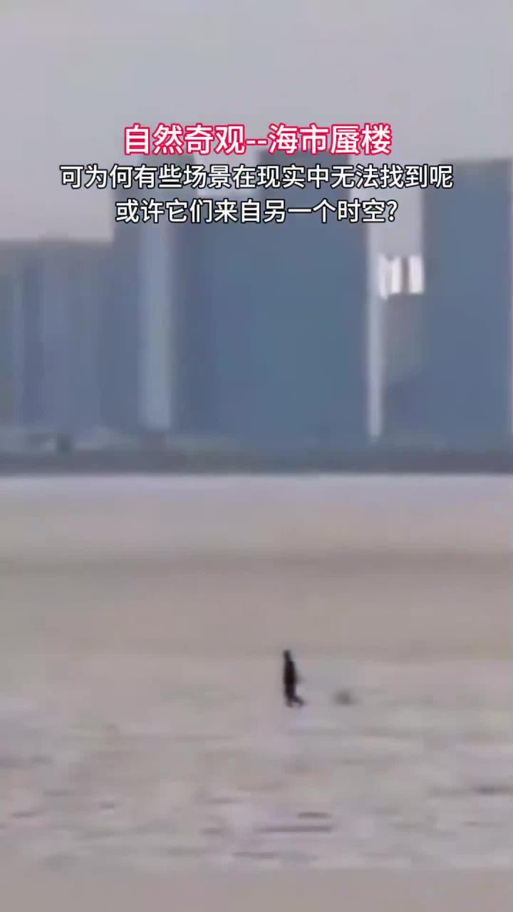 2025年10月 第549页