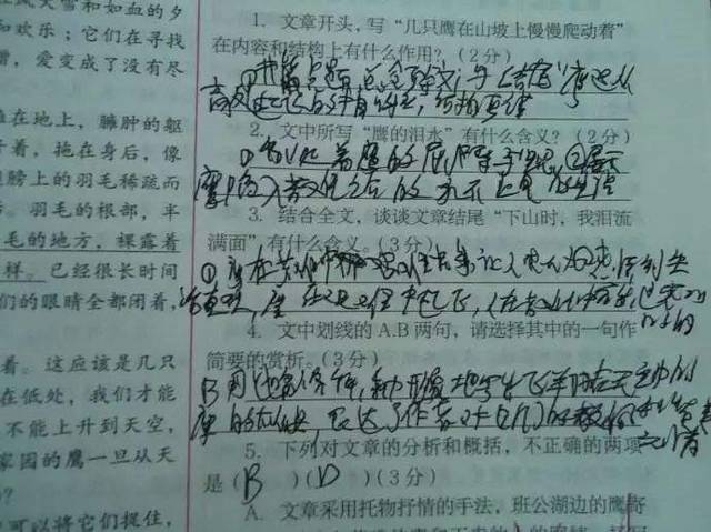 怎么理解活得潦草的意思