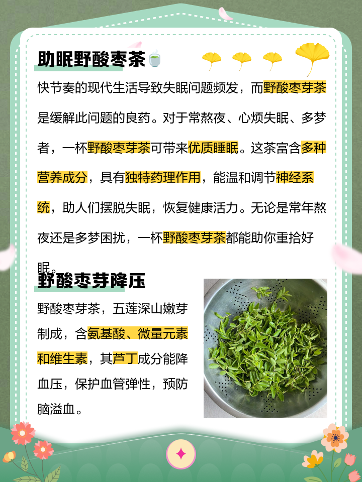 酸枣叶茶的功效与作用