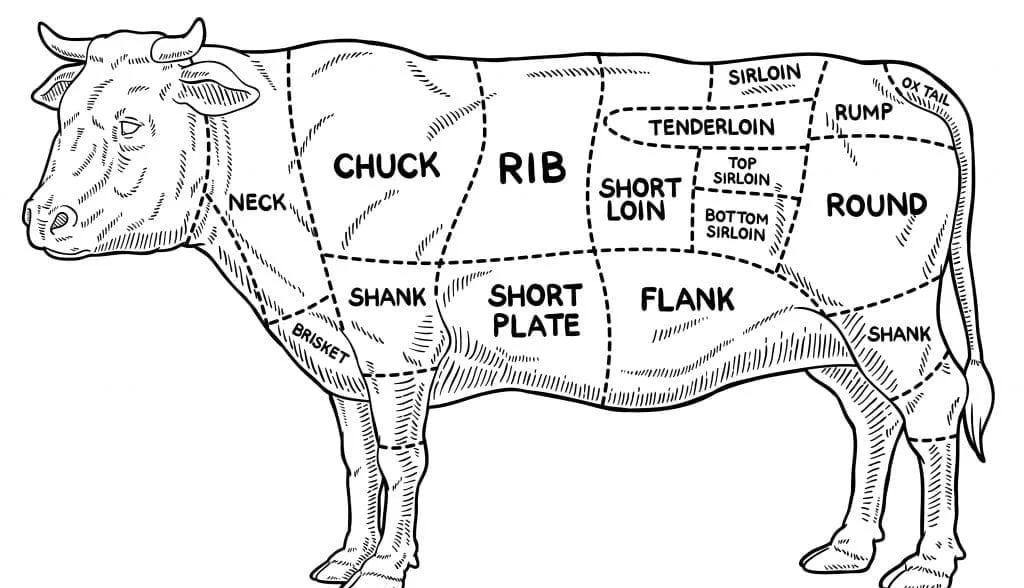 牛肉简笔画教程