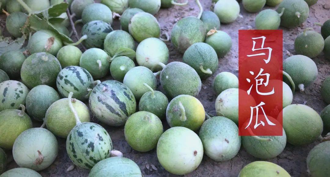 马泡瓜的功效与作用是什么