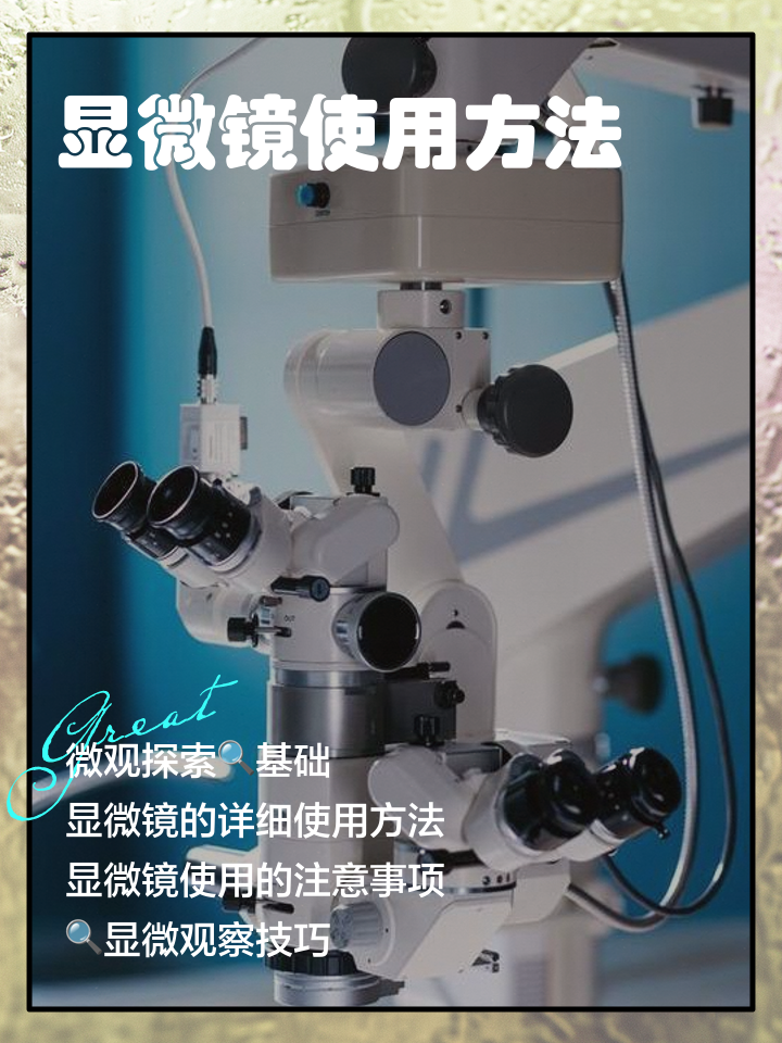 显微镜使用方法
