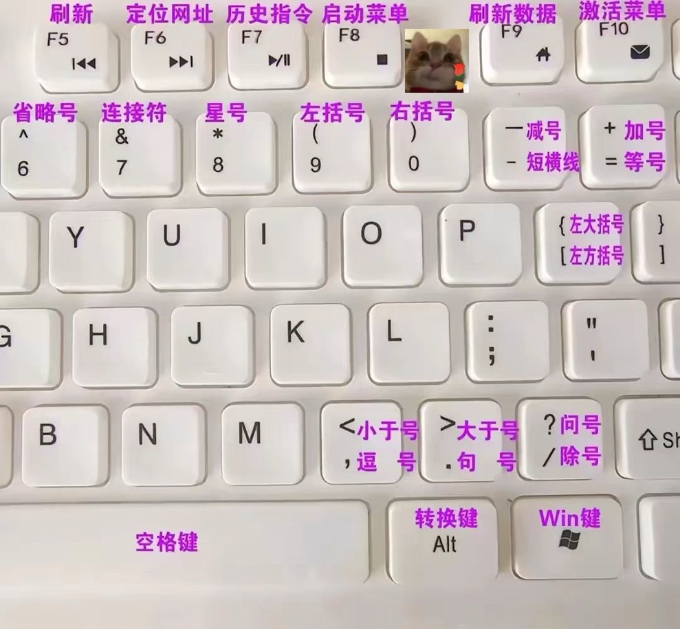 电脑制作表格初学教程