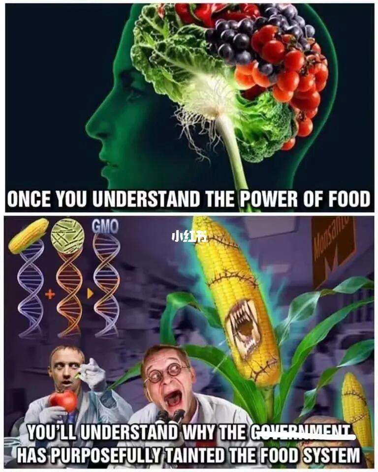 转基因食品是怎么对人产生危害的?