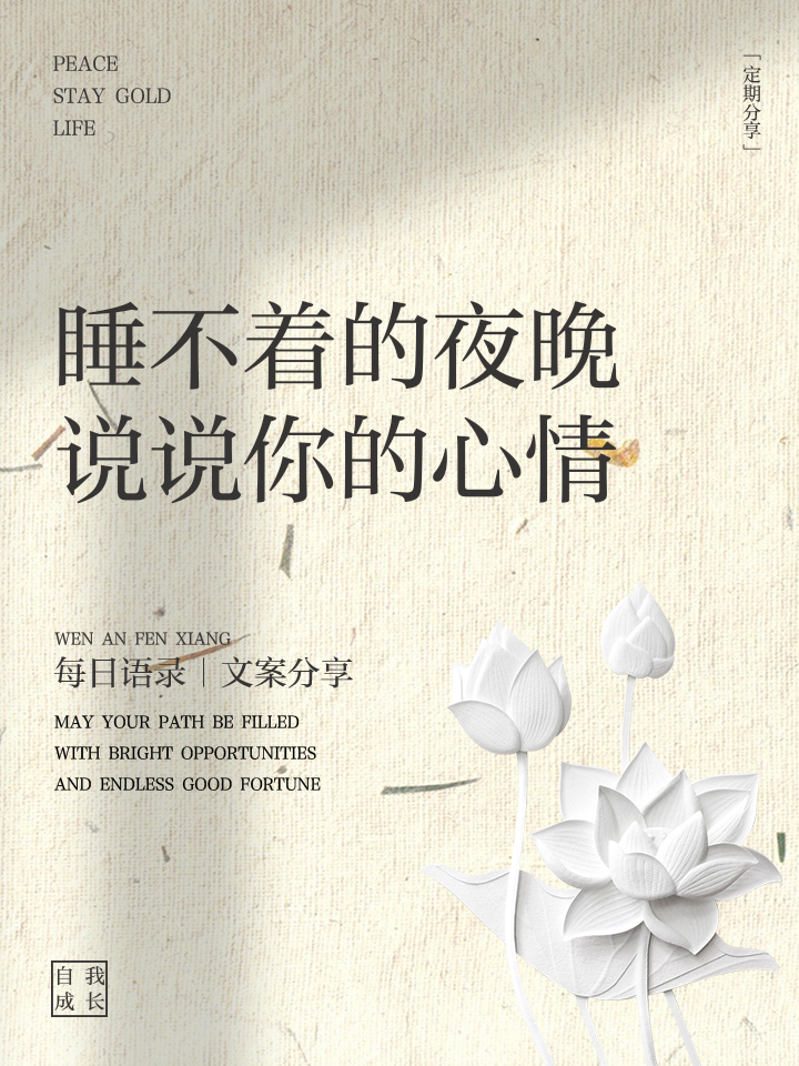 夜深人静睡不着的说说短句子