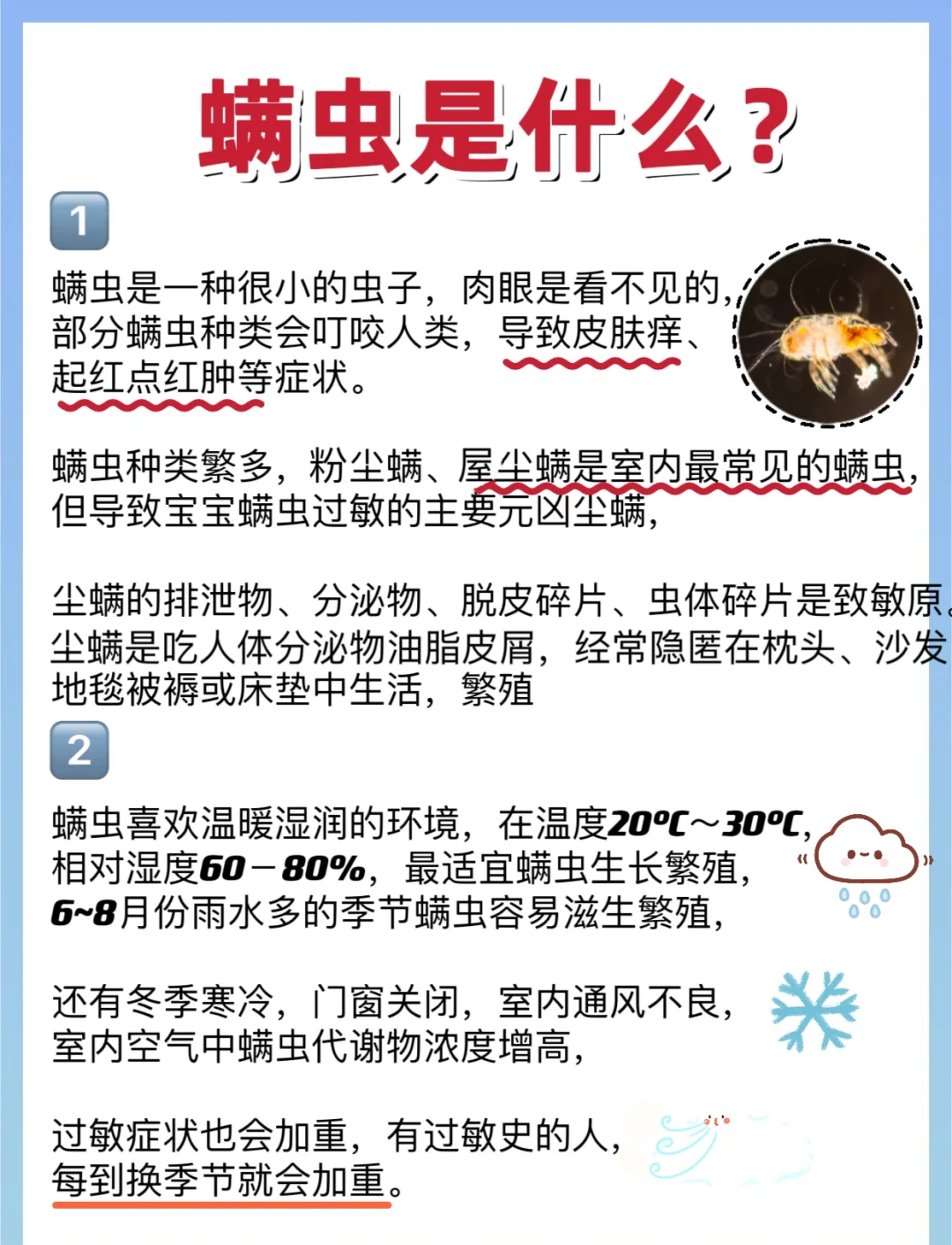 户尘螨是什么东西怎么去除