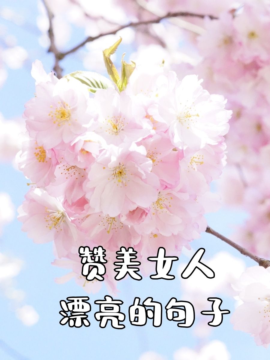 赞美照片漂亮的话移动端