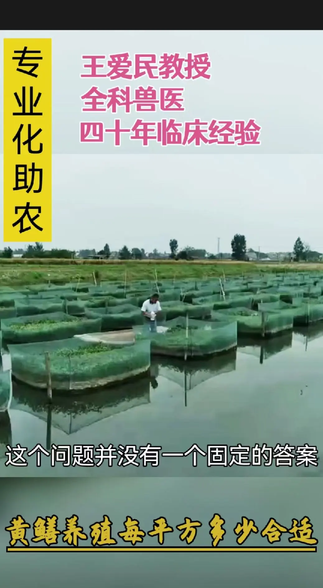 黄鳝养殖黄鳝养殖技术