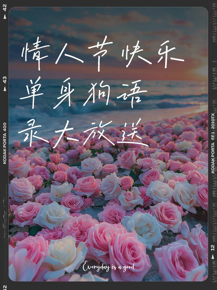 情人节搞笑幽默的句子发朋友圈