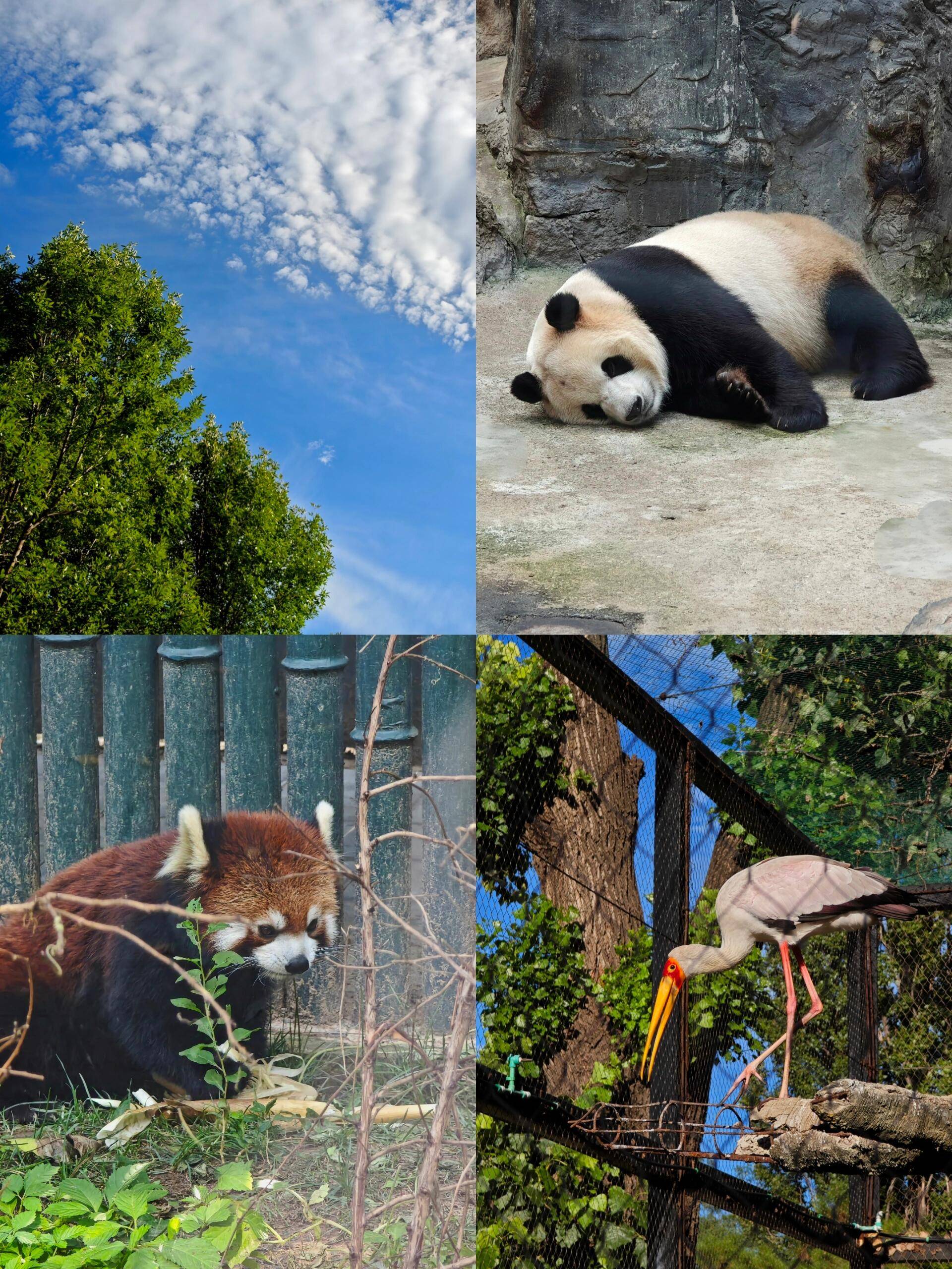 北京有哪些好玩的地方分别有什么