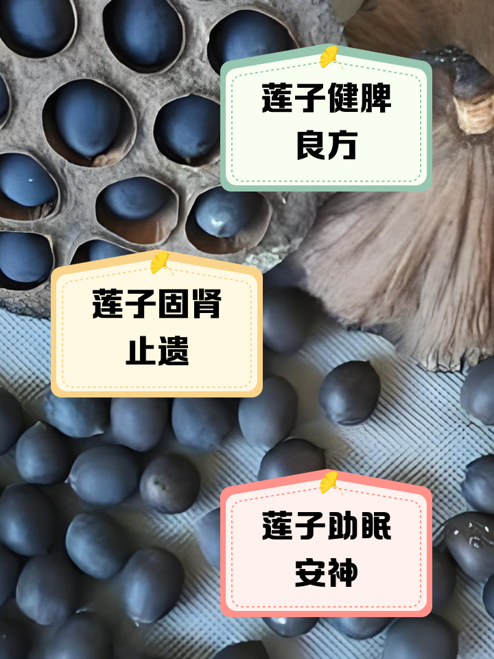 莲子功效不适合哪类人下面一起来了解一下