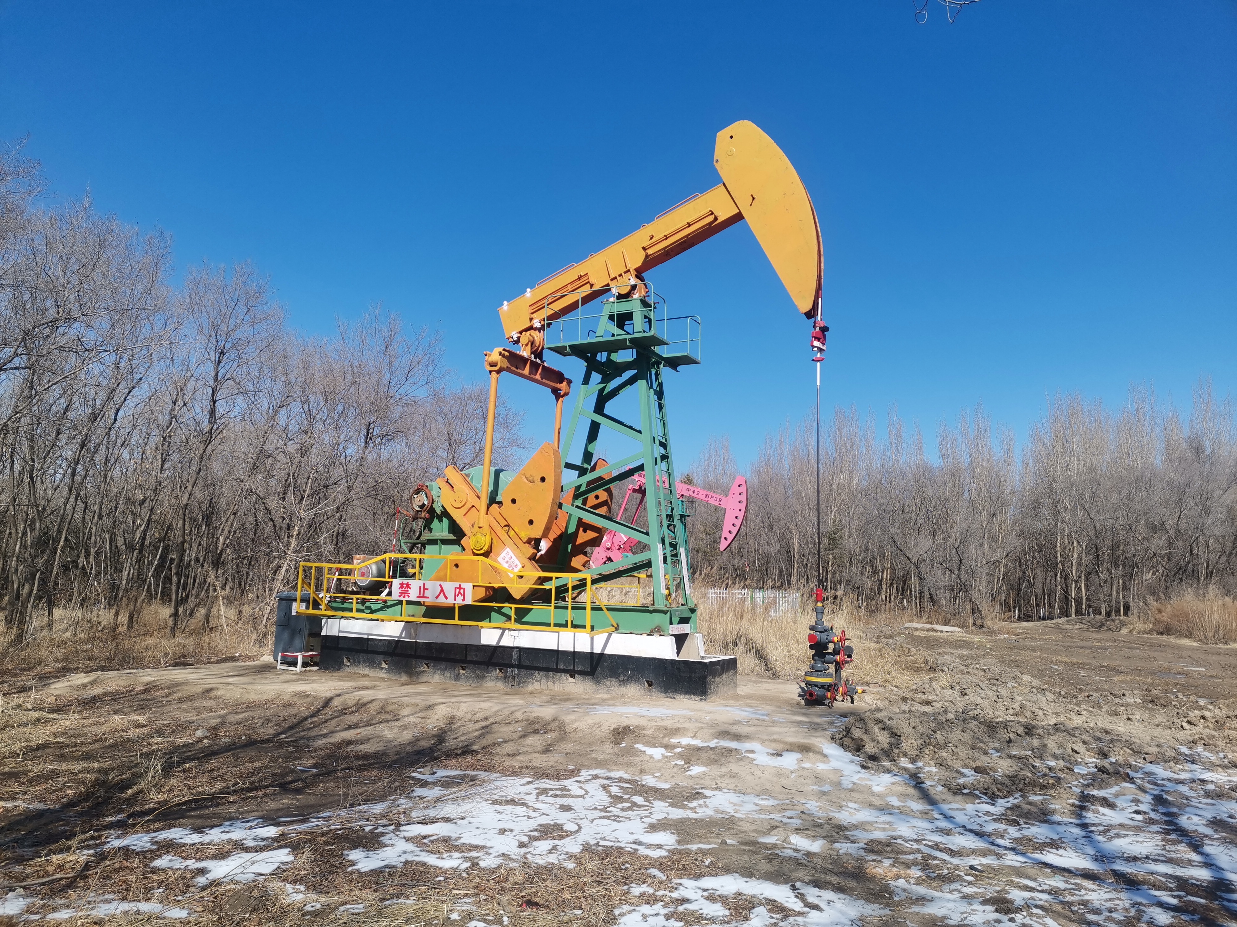 大庆油田是在哪一年发现的