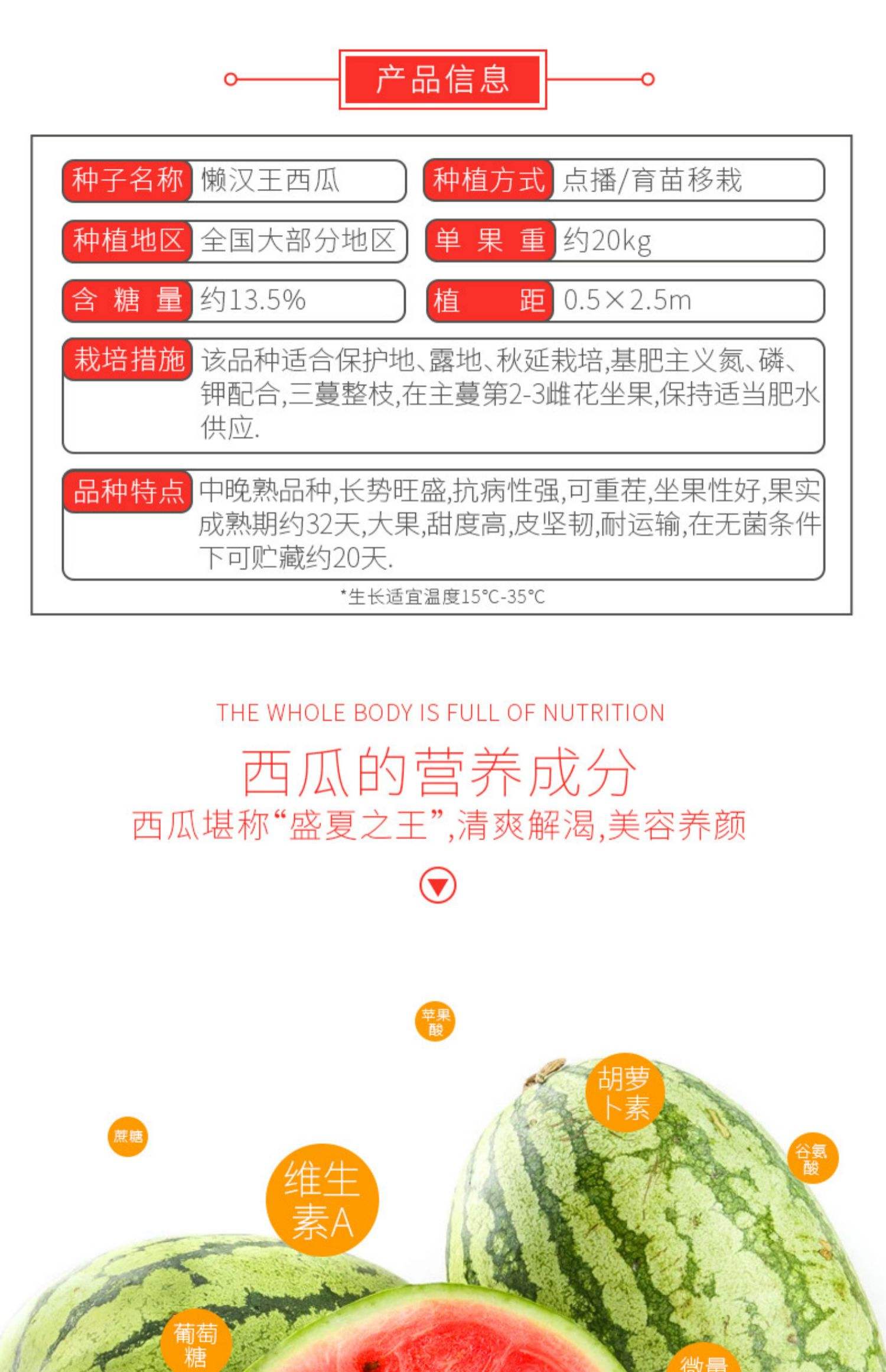 详解西瓜籽种植的方法步骤