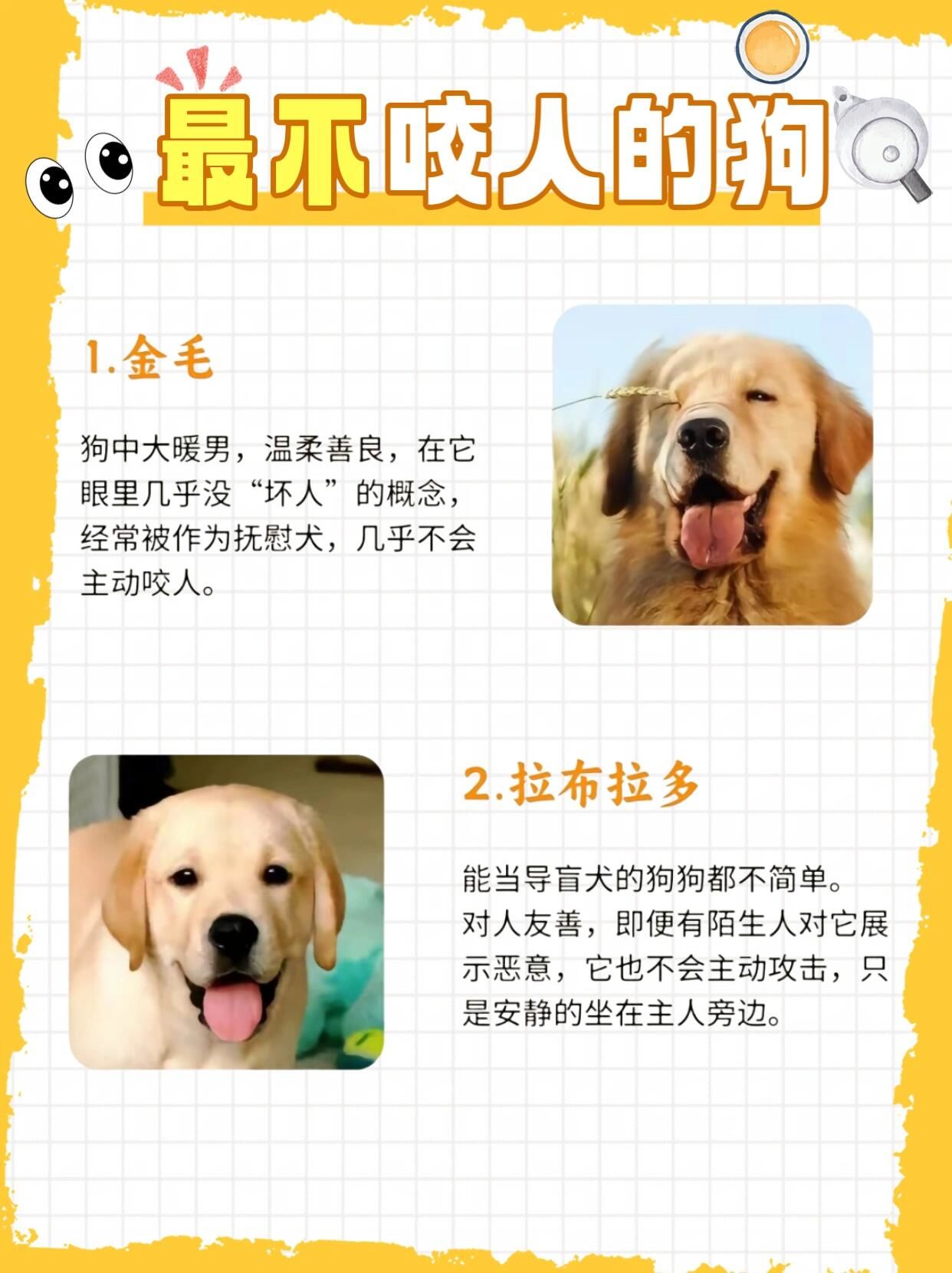 养狗的好处不看不知道