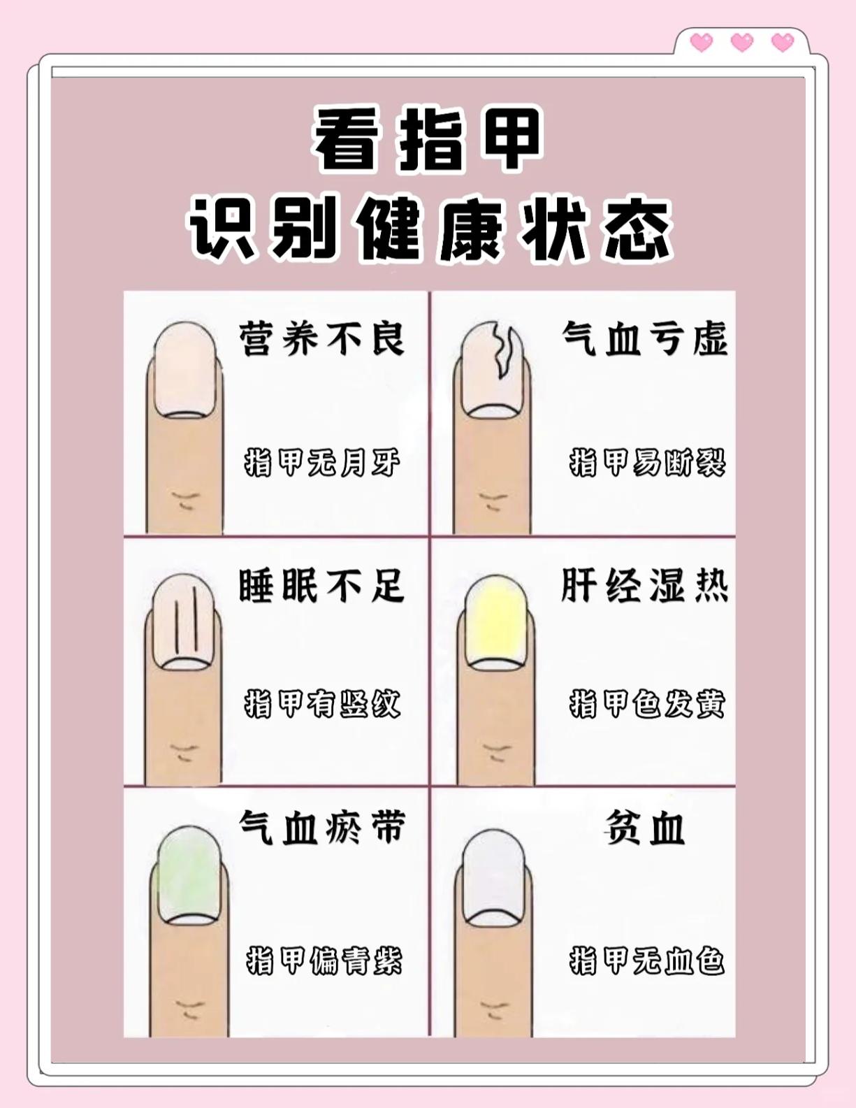 头发和指甲的生长速度分别是多少?