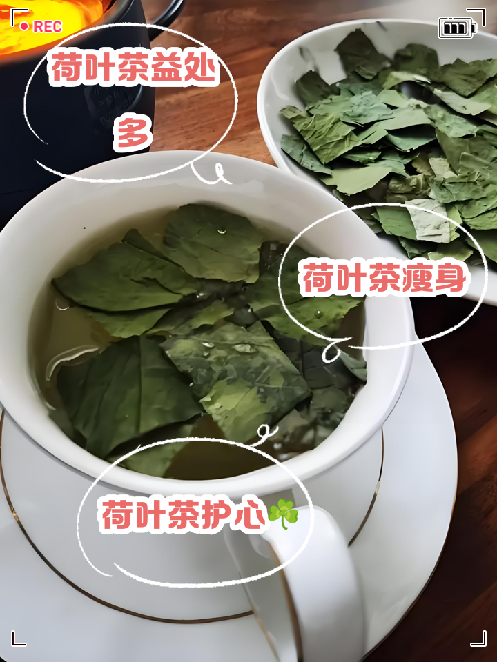 荷叶茶的功效与作用有哪些?