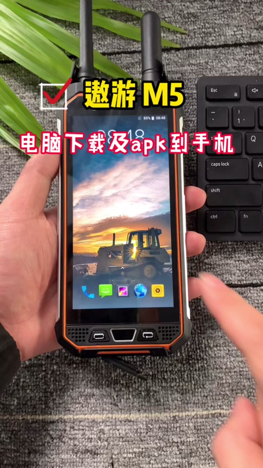 安卓手机怎么看qlv文件