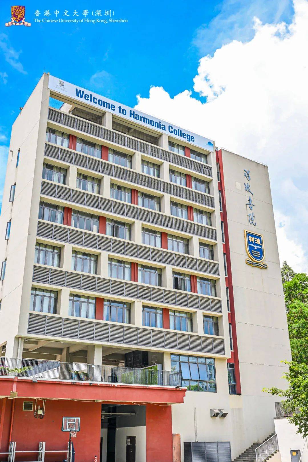 college是什么意思中文？